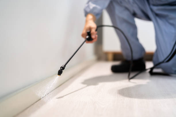 Certified termite inspector examining foundation in Glenwood